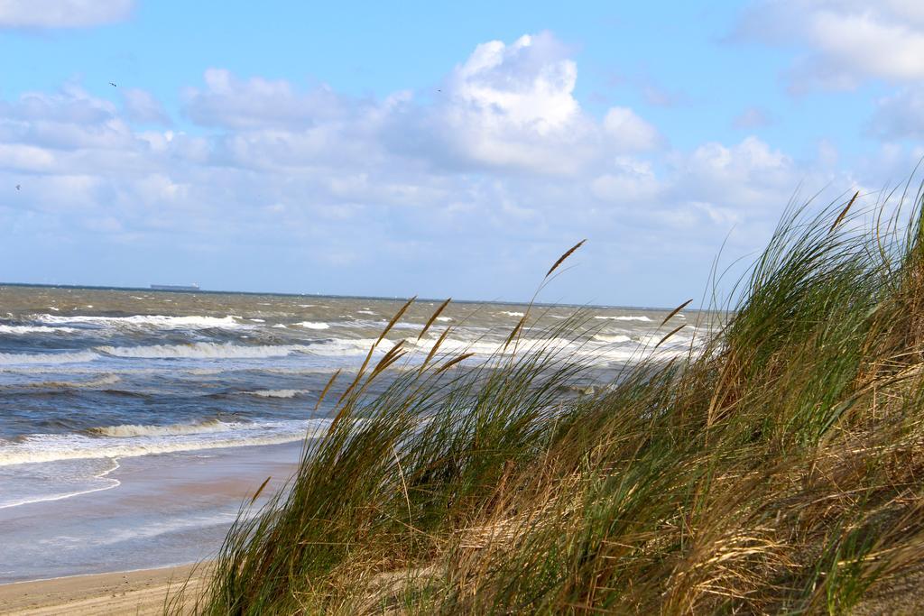 Hofje Van Maas Zandvoort Eksteriør bilde